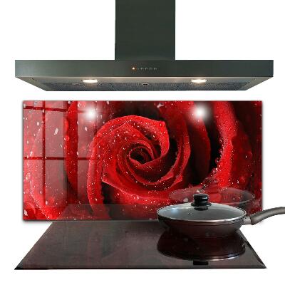 Konyhai hátfal panel Vörös rózsa cseppjei