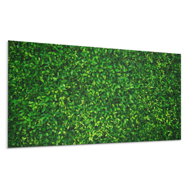 Dekorpanel falra Sűrű levélfal