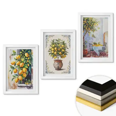 Keretezett kép szett Citrus inspirációk a dekoratív művészetben