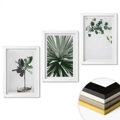 Növényi inspirációk minimalista stílusú falikép összeállítás