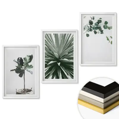 Minimalista növényi inspirációk triptichon keretezett kivitelben