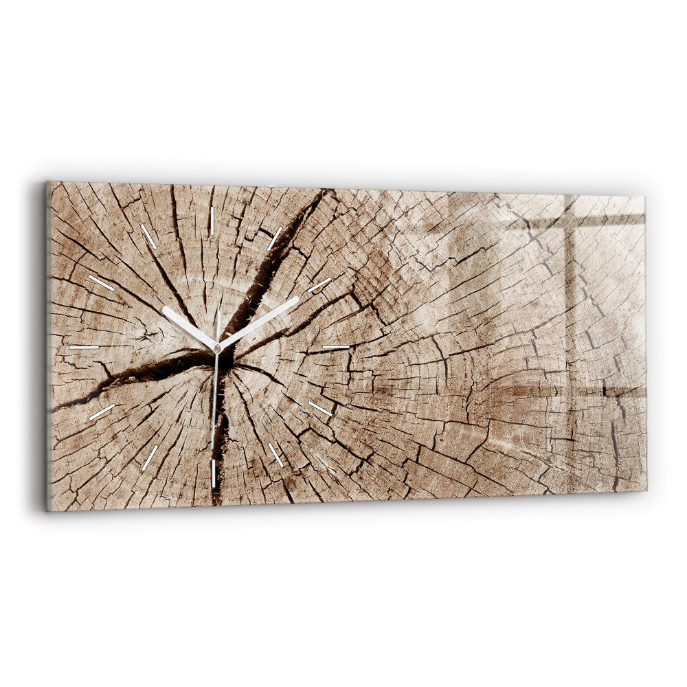 Üvegóra vízszintesen Régi fatörzs