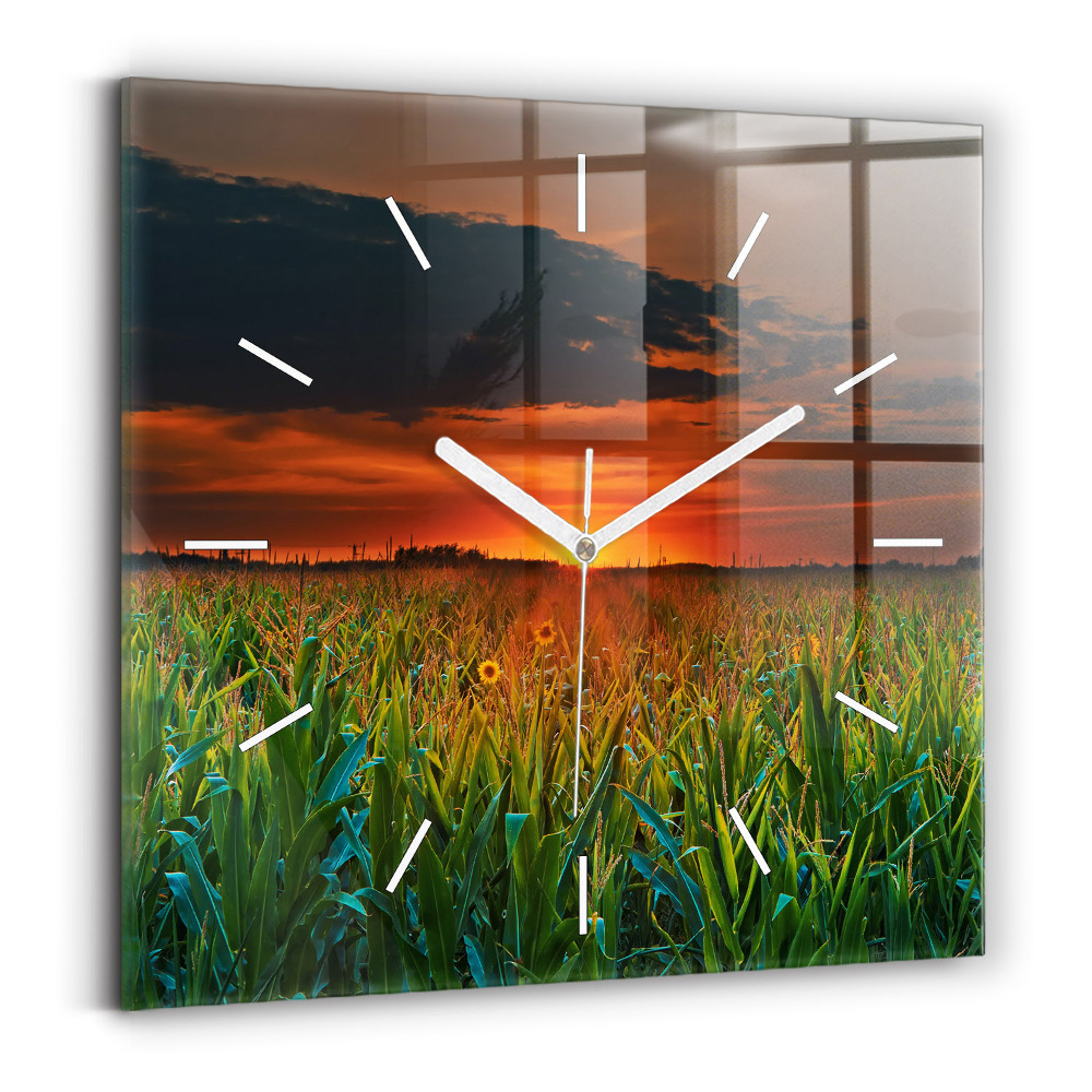 Szögletes üvegóra Napraforgók a réten