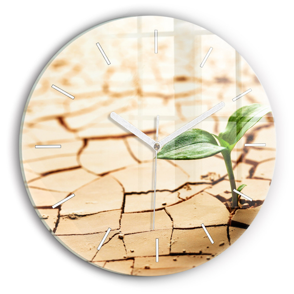 Kerek üvegóra Növény a száraz talajban