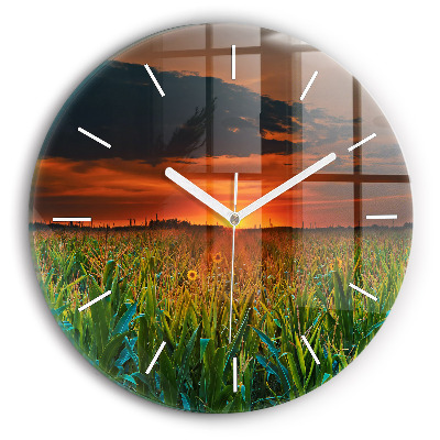 Kerek fali üvegóra Napraforgók a réten